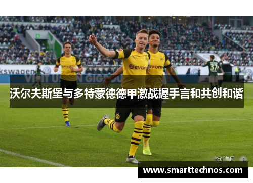 沃尔夫斯堡与多特蒙德德甲激战握手言和共创和谐