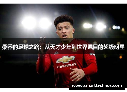 桑乔的足球之路：从天才少年到世界瞩目的超级明星